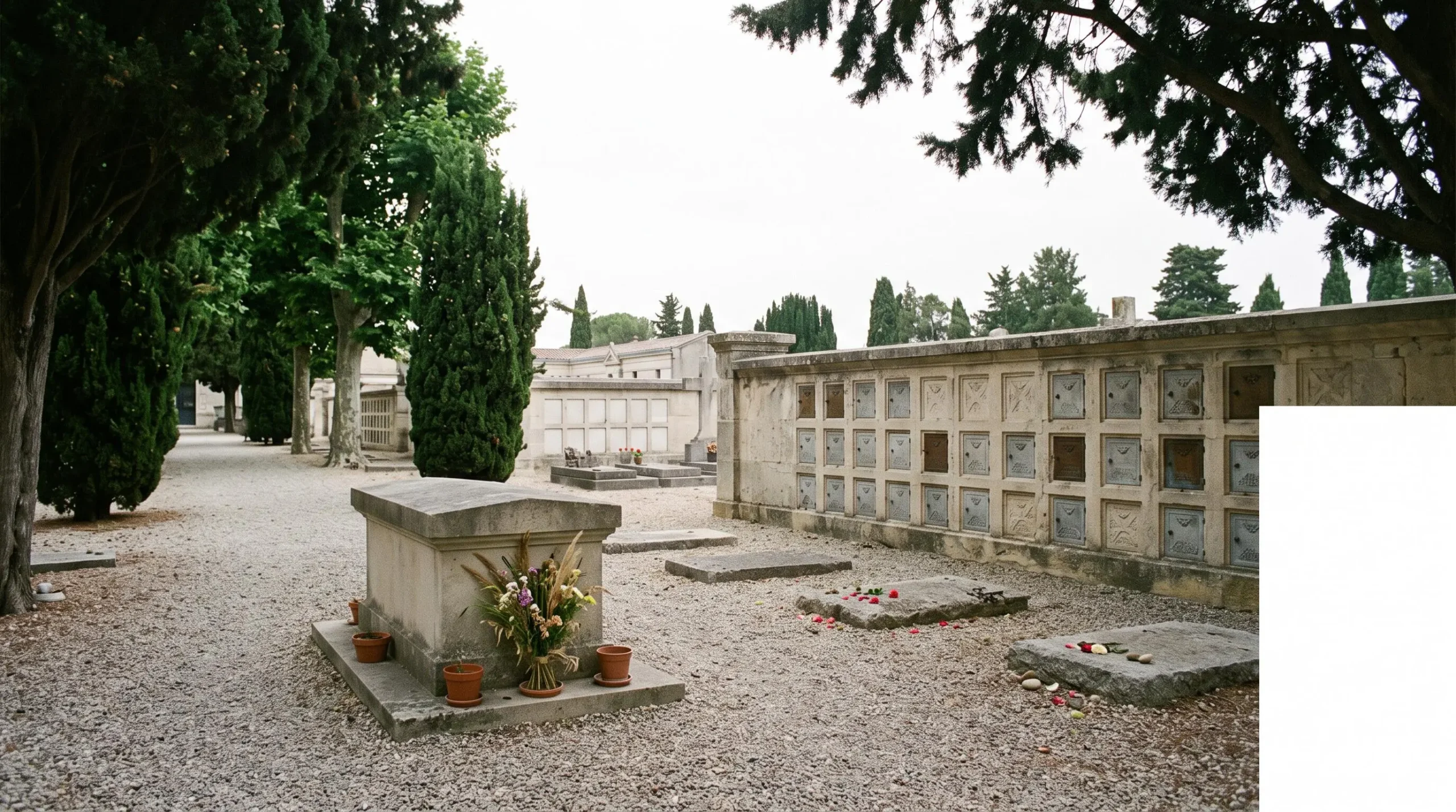 Espace cinéraire dans un cimetière français avec columbarium en pierre, cavurnes fleuries et monument cinéraire au petit matin